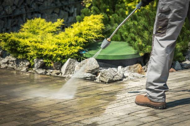 Best Fence Cleaning  in Memphis, FL