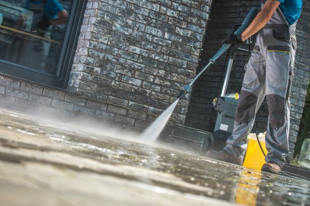 Best Gutter Cleaning  in Memphis, FL
