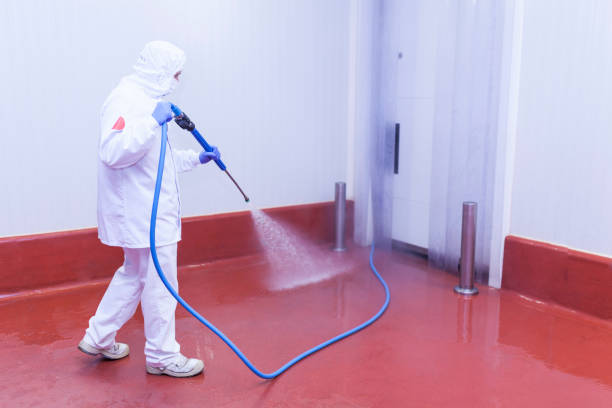 Best Driveway Pressure Washing  in Memphis, FL