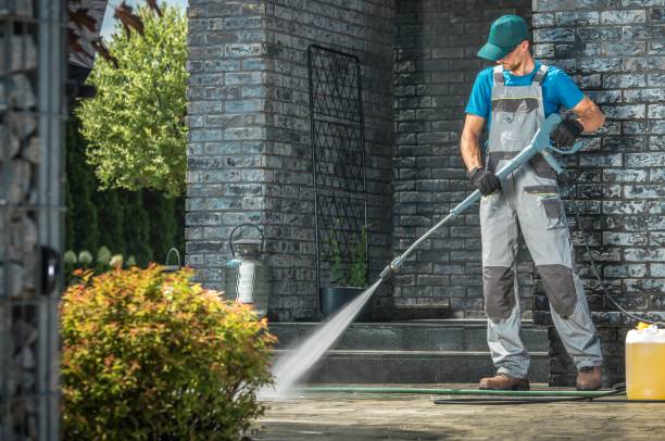 Solar Panel Cleaning in Memphis, FL