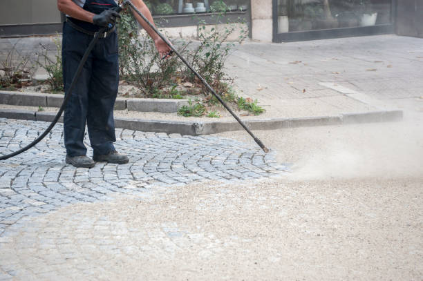 Best Sidewalk and Walkway Cleaning  in Memphis, FL