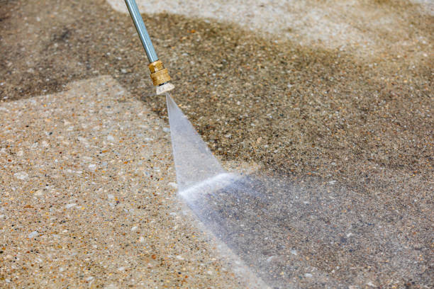 Best Animal Enclosure Cleaning  in Memphis, FL